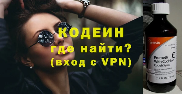хмурый Мегион