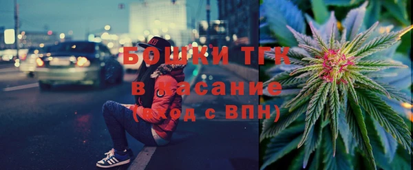 хмурый Мегион